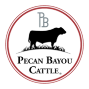 Pecan Bayou Cattle