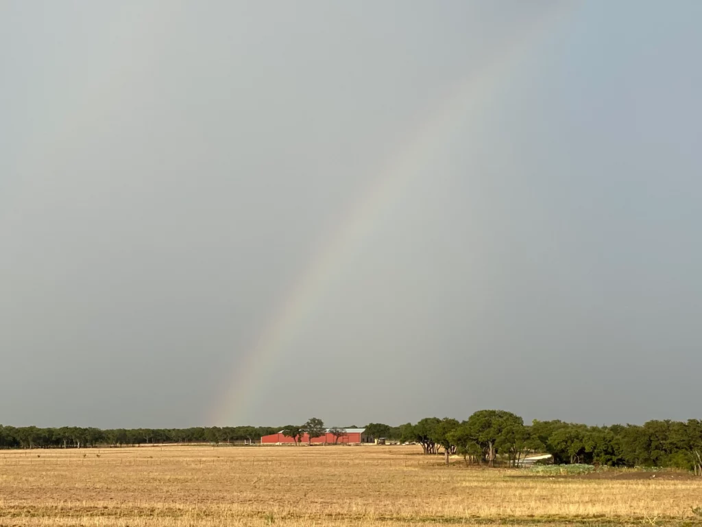 Rainbow over Texas Angus Cattle Company