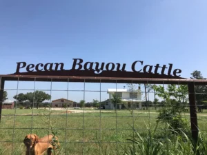 Texas Farmhouse with Sign